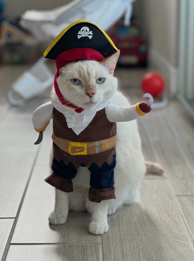 Finley - Robert Fish's Cat